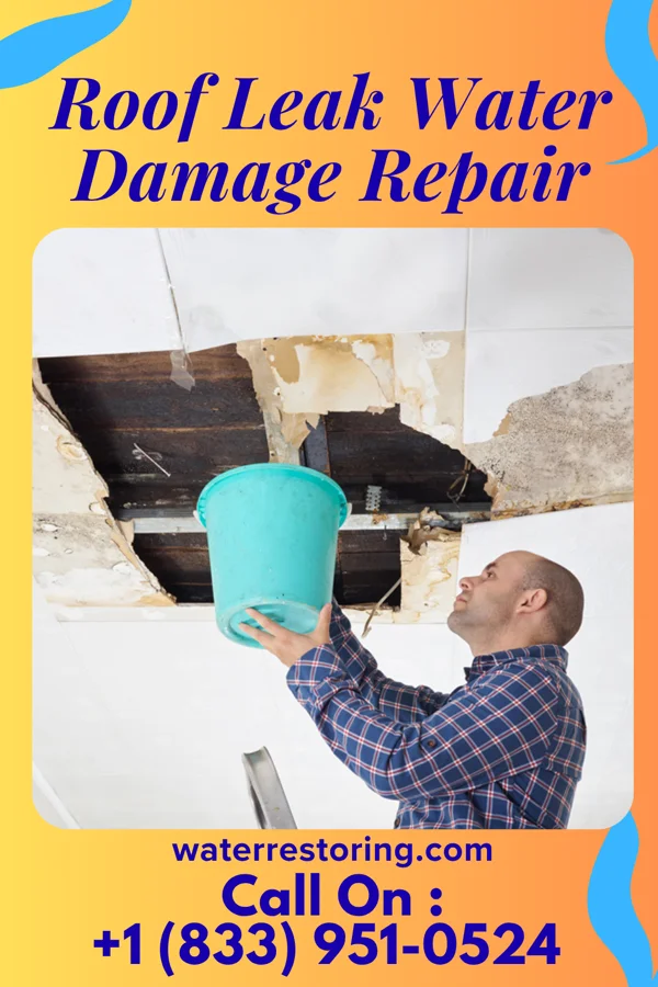 Roof Leak Water Damage Repair in Rivers, NM